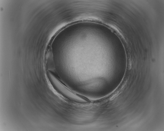 X0000087741038200705211007