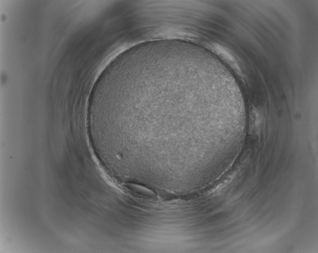 X0000087741039200705211007