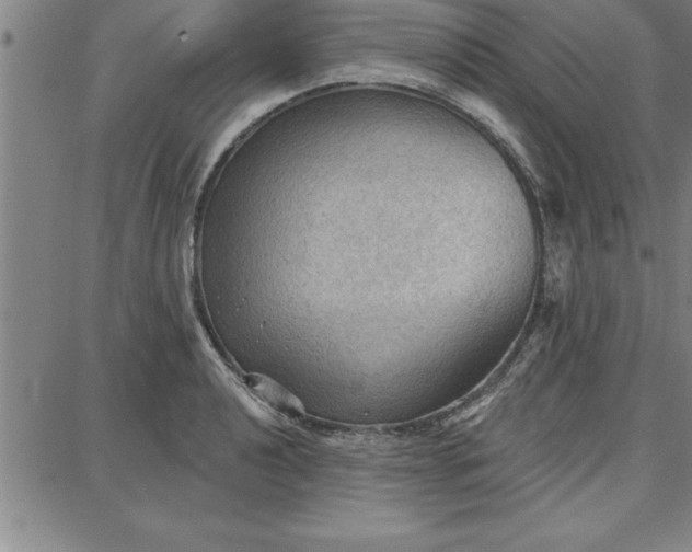 X0000087741040200705211007