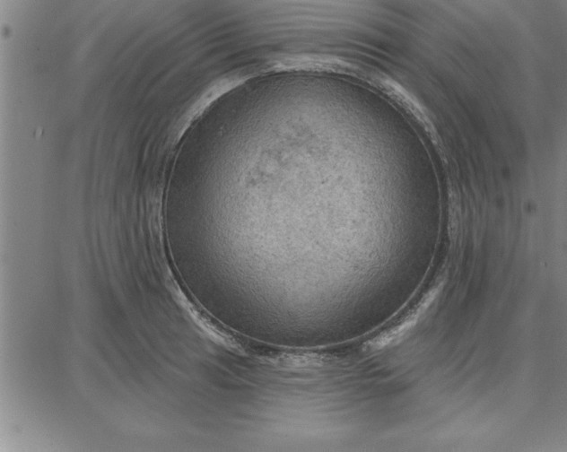 X0000087741041200705211007