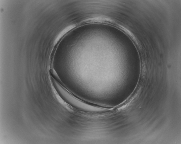 X0000087741042200705211007