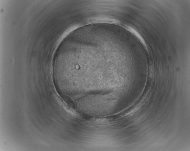 X0000087741043200705211007