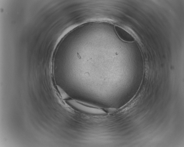 X0000087741044200705211007