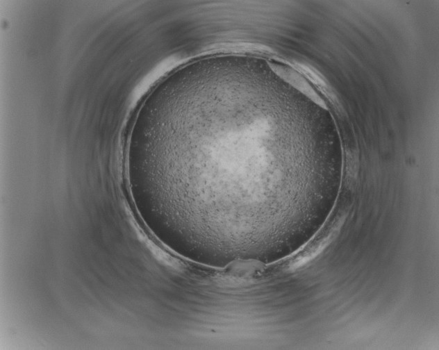 X0000087741046200705211007