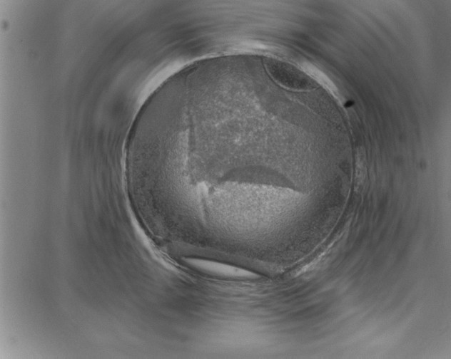 X0000087741047200705211007