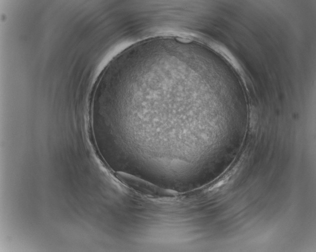 X0000087741048200705211007