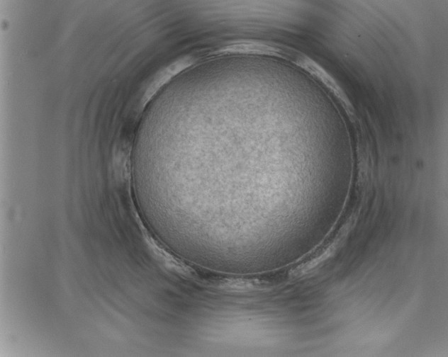 X0000087741049200705211007