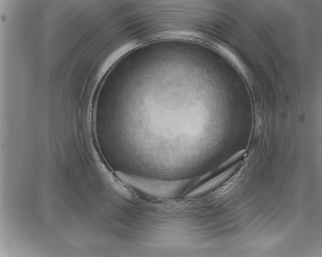 X0000087741050200705211007