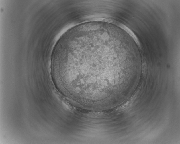 X0000087741051200705211007