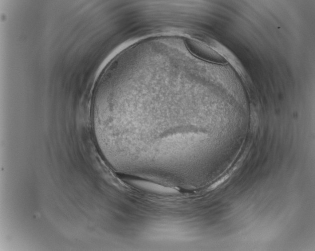 X0000087741052200705211007