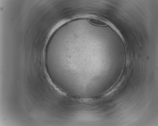 X0000087741053200705211007