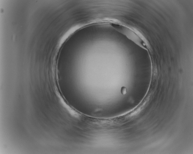 X0000087741054200705211007