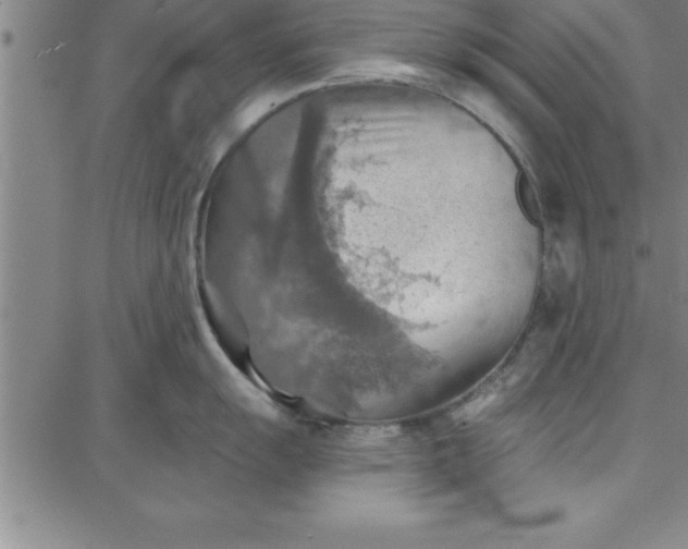 X0000087741055200705211007