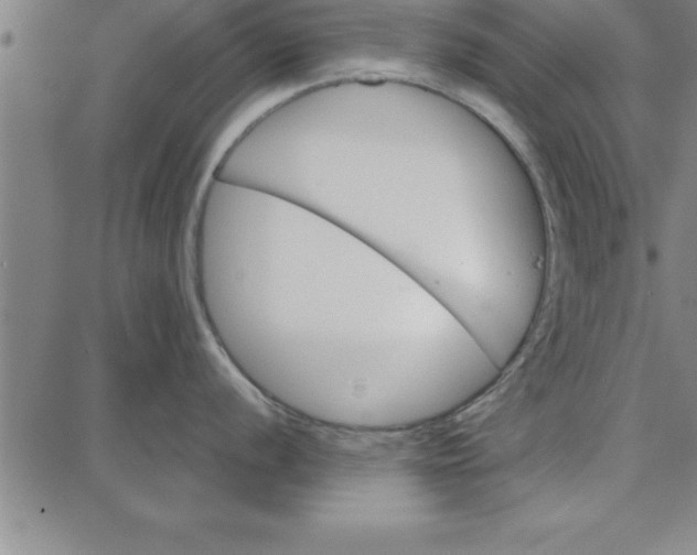 X0000087741056200705211007