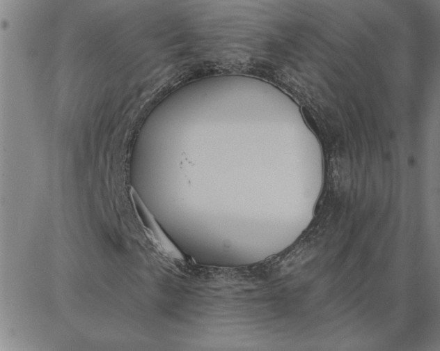 X0000087741057200705211007