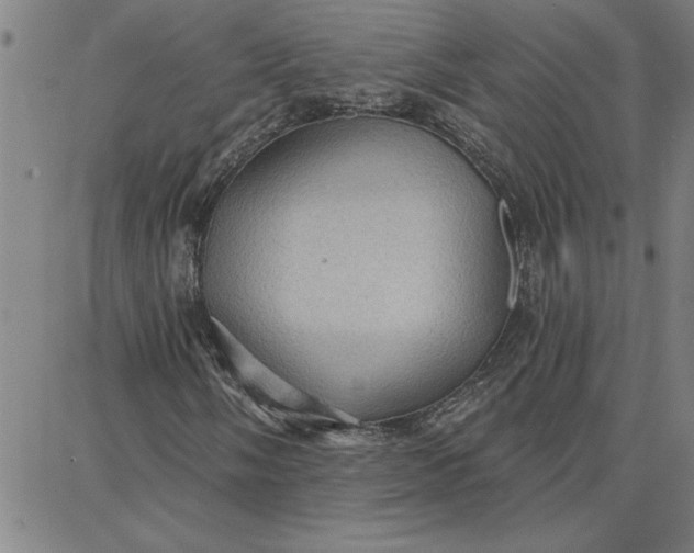 X0000087741058200705211007