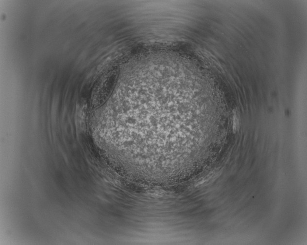 X0000087741059200705211007