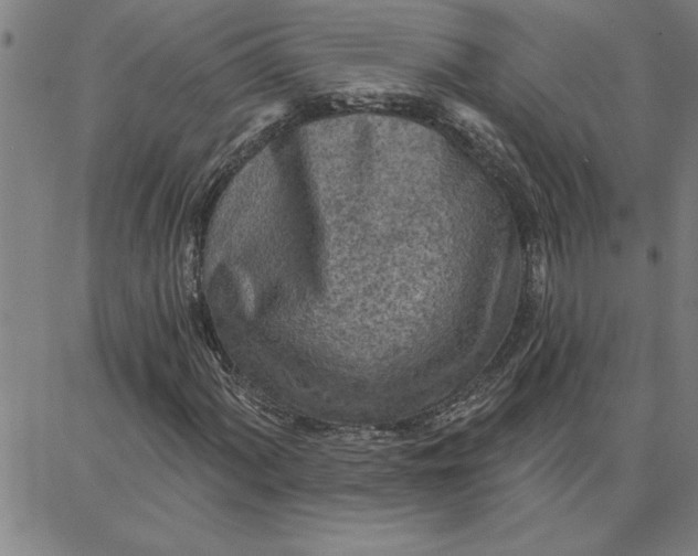 X0000087741060200705211007