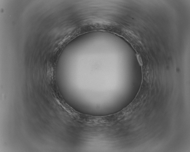 X0000087741061200705211007