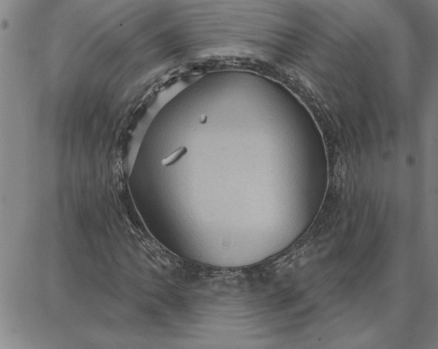 X0000087741062200705211007