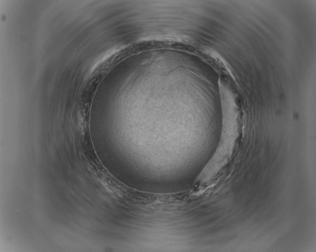 X0000087741064200705211007