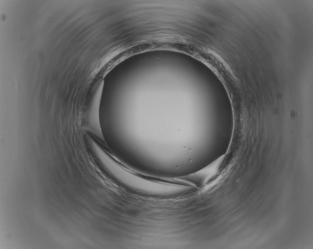 X0000087741065200705211007