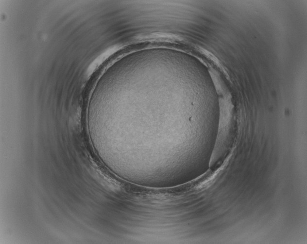 X0000087741066200705211007