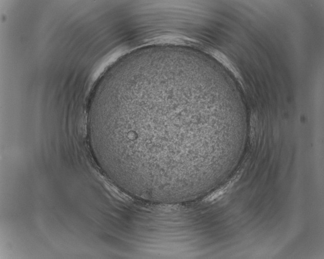 X0000087741067200705211007