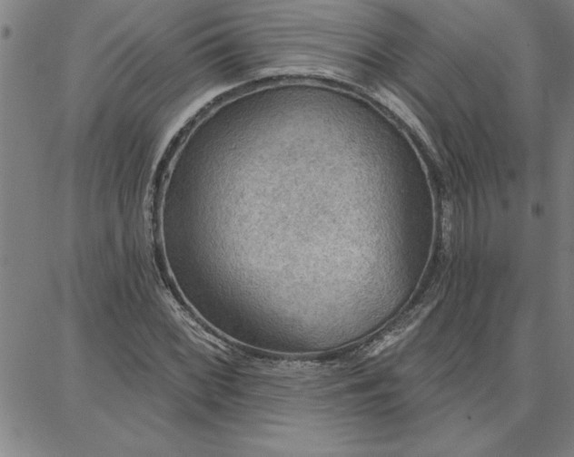 X0000087741068200705211007