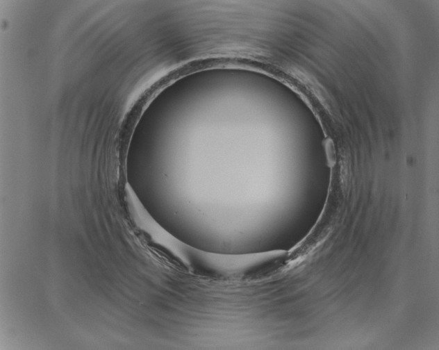 X0000087741069200705211006