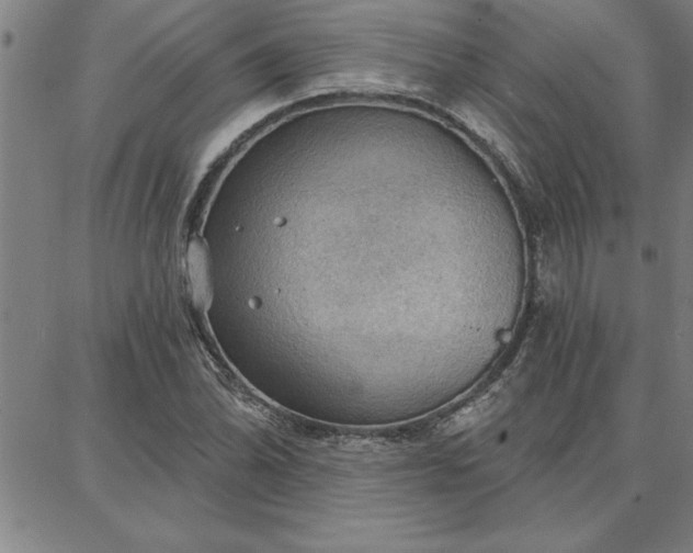 X0000087741070200705211006