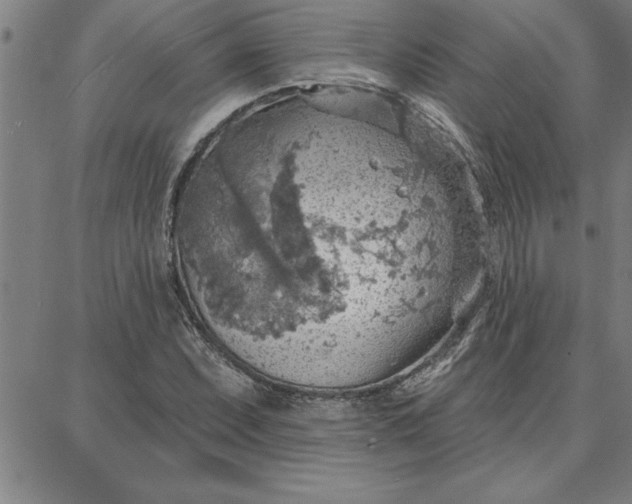 X0000087741071200705211006