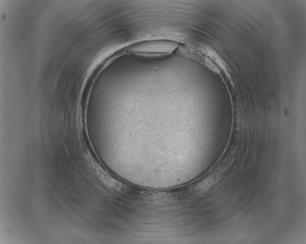 X0000087741072200705211006