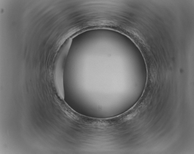 X0000087741073200705211006