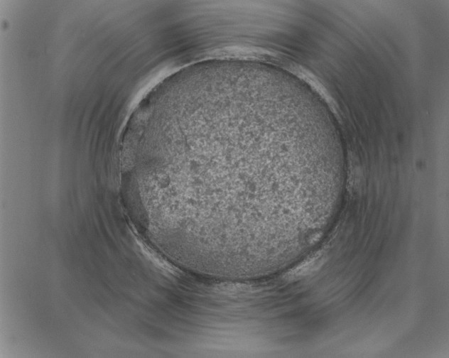 X0000087741075200705211006