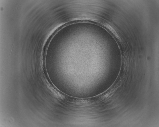 X0000087741076200705211006