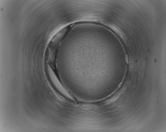 X0000087741077200705211006