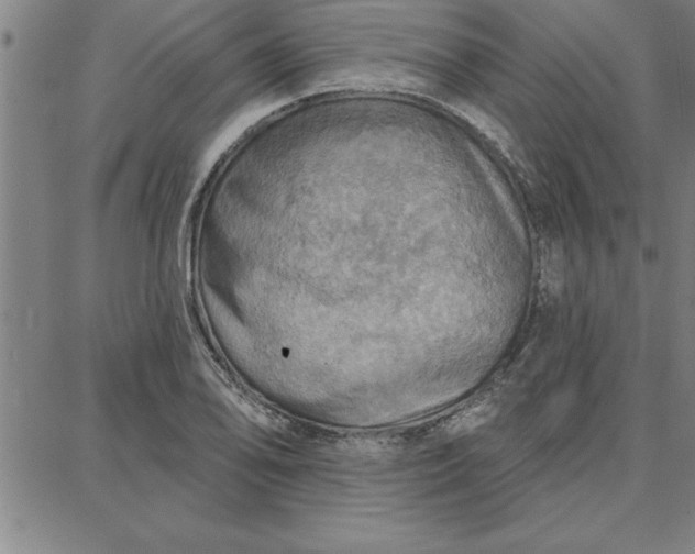 X0000087741078200705211006