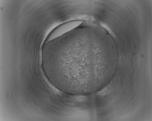 X0000087741079200705211006