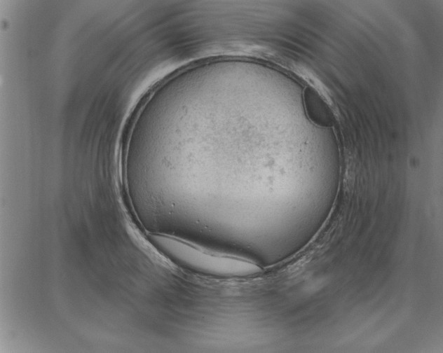 X0000087741080200705211006