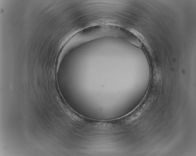 X0000087741081200705211006