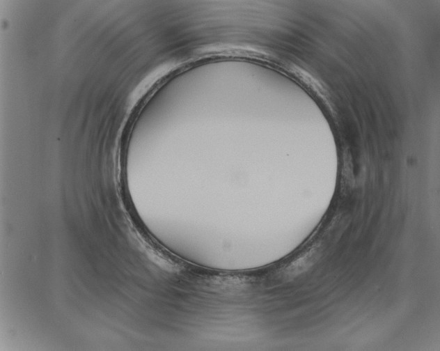 X0000087741082200705211006