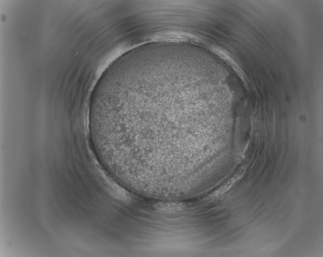 X0000087741083200705211006