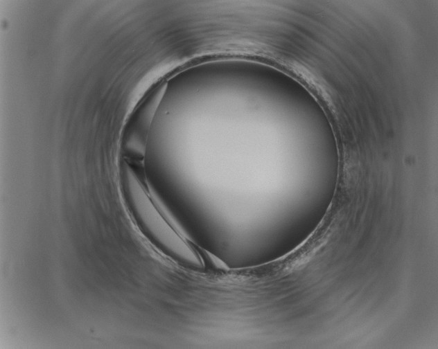 X0000087741085200705211006