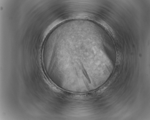 X0000087741086200705211006