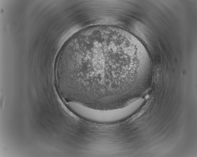 X0000087741087200705211006