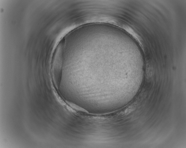 X0000087741088200705211006