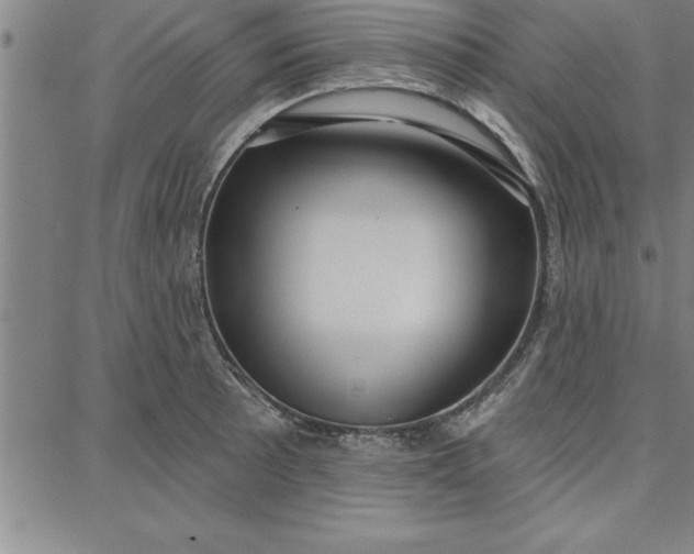 X0000087741089200705211006