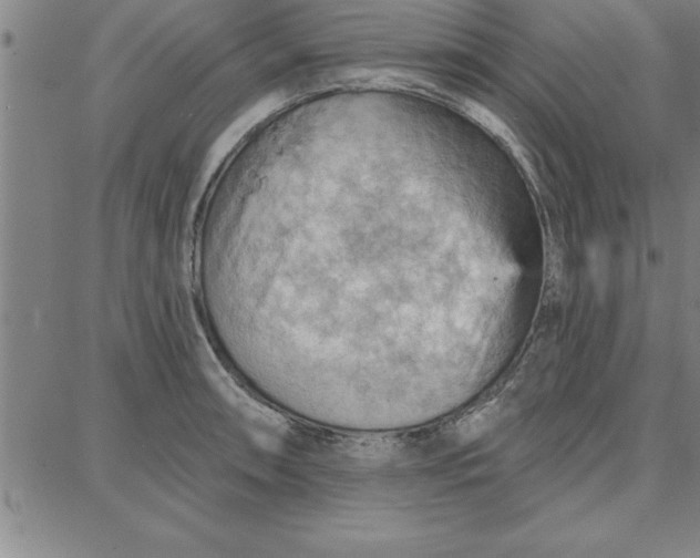 X0000087741090200705211006