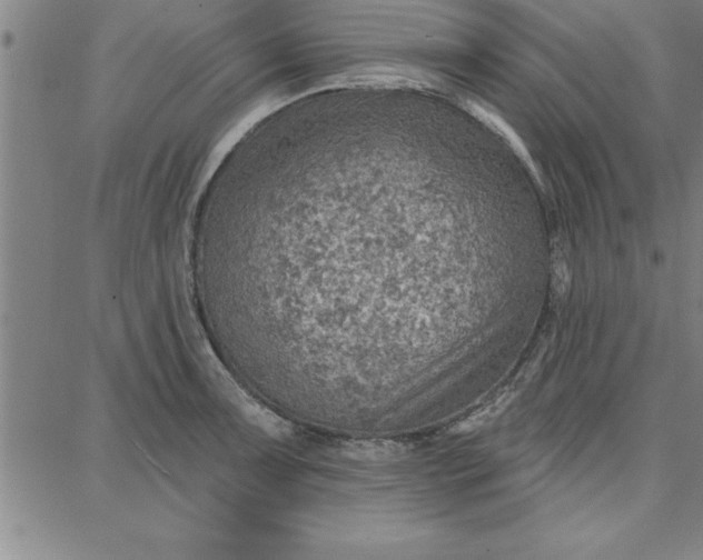 X0000087741091200705211006